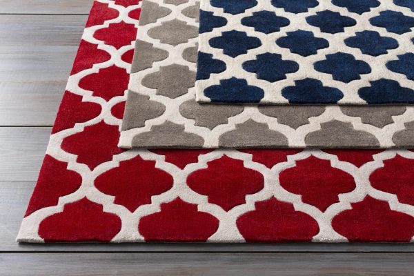 Knickerbocker Area Rug - Clearance For Sale - Image 4