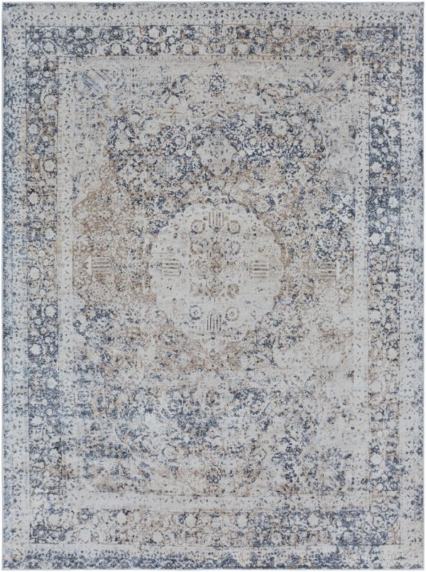 Ozona Area Rug - Clearance Fashion - Image 5