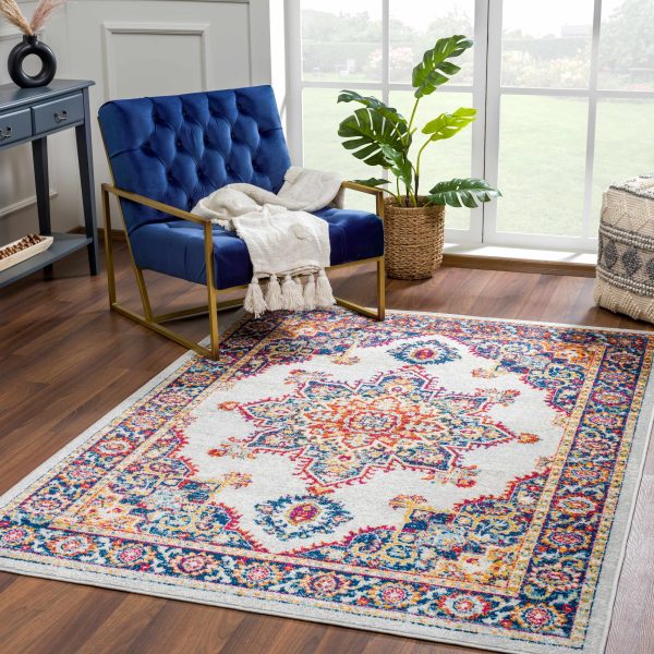 Istanbul Medallion Orange Area Rug - Clearance on Sale - Image 2