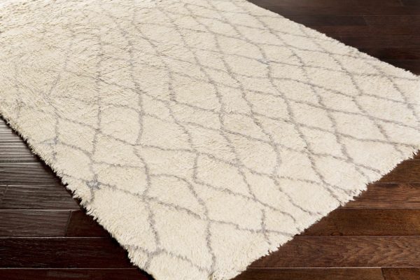 Jeddo Area Rug - Clearance Discount - Image 2