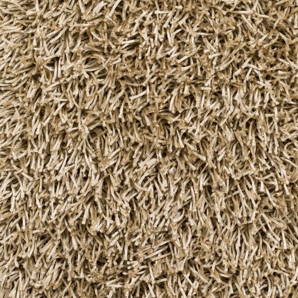 Browder Solid Beige Shag Rug - Clearance Online now