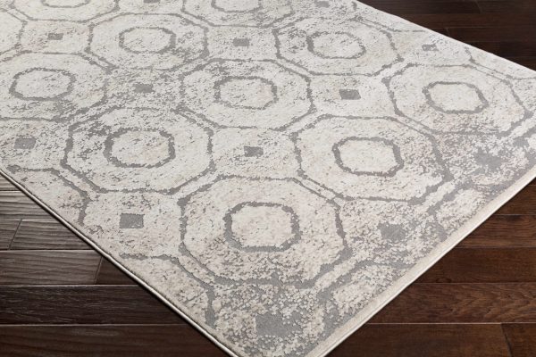 Frenchtown Area Rug - Clearance For Cheap - Image 3