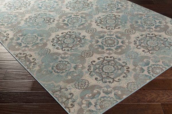 Thomson Area Rug - Clearance For Cheap - Image 4